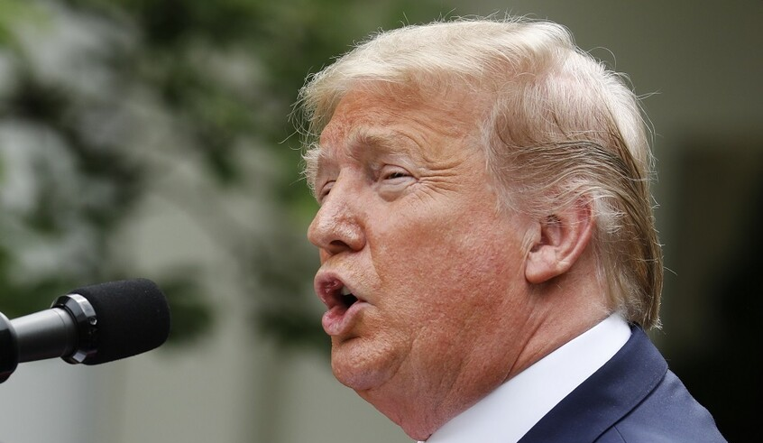 wp header logo17556265592055194797