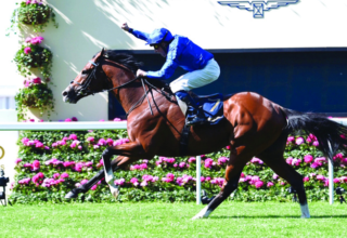 wp header logo17557020481406897157