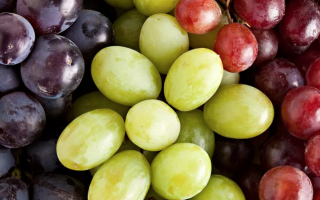 wp header logo1755748828434102792