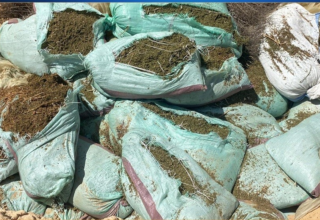 wp header logo1756011733447268677