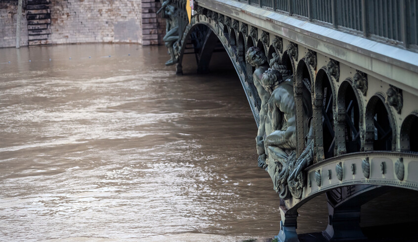 wp header logo17560657212082285446