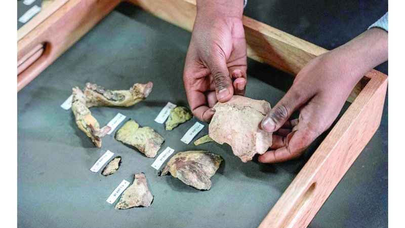 wp header logo1756173632869784290