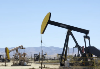 wp header logo1756310429935101667