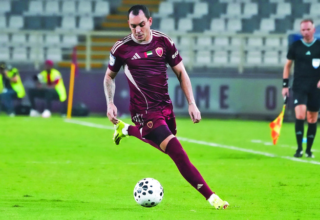 wp header logo17564328101898328328