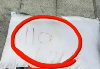 wp header logo1756432810653513614