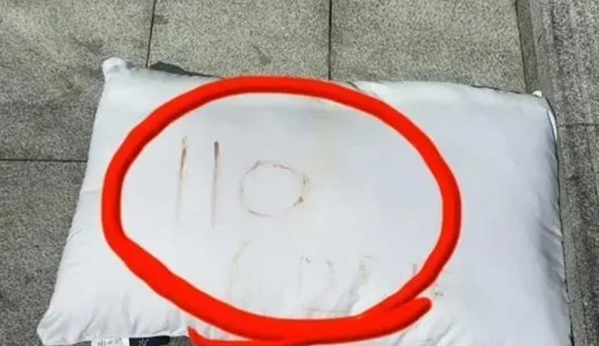 wp header logo1756432810653513614