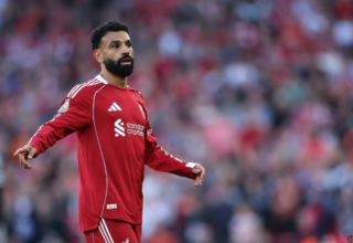 wp header logo17569152121032104493