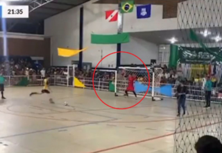 wp header logo17570016411605232535