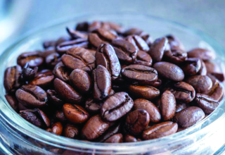 wp header logo17571240131802611418