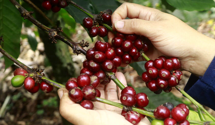 wp header logo17571636251447959207