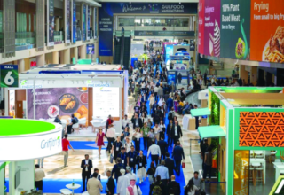 wp header logo17571924061426670148