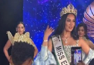 wp header logo17572860381129376580