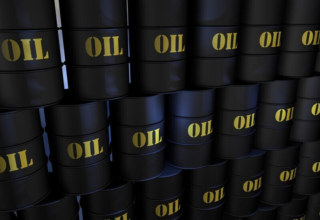 wp header logo1757286072673589797