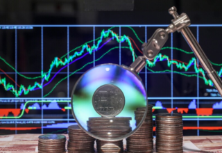 wp header logo17573725272139730614