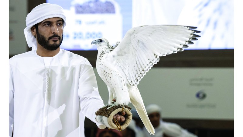 wp header logo17573760261182134562