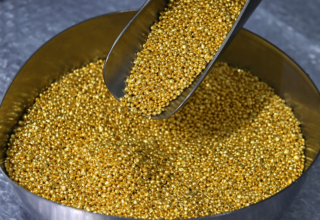 wp header logo1757412084804006693