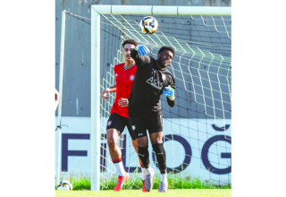 wp header logo17576892381893574399