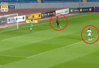 wp header logo17578800241978676862