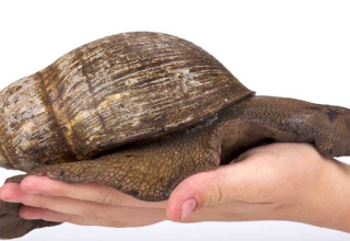 wp header logo17579160081041201698