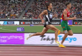 wp header logo17579448071568735735