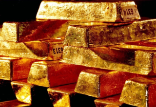 wp header logo1757980810643473755