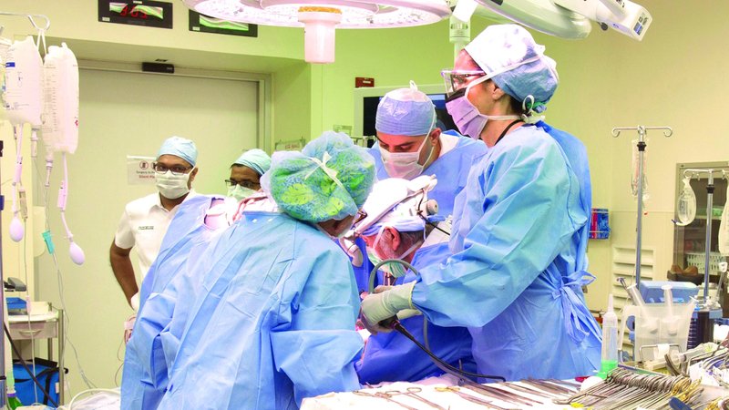 wp header logo1758150012210377233