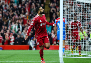 wp header logo17581536751516346786