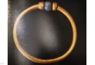 wp header logo1758168005278376324