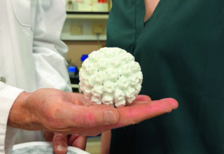 wp header logo17581680581995202339