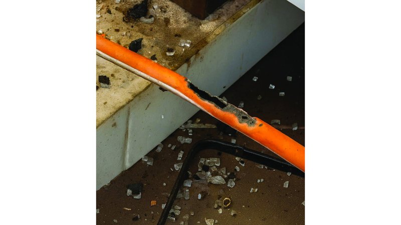 wp header logo1758171649858693311