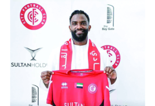 wp header logo175824725156750224