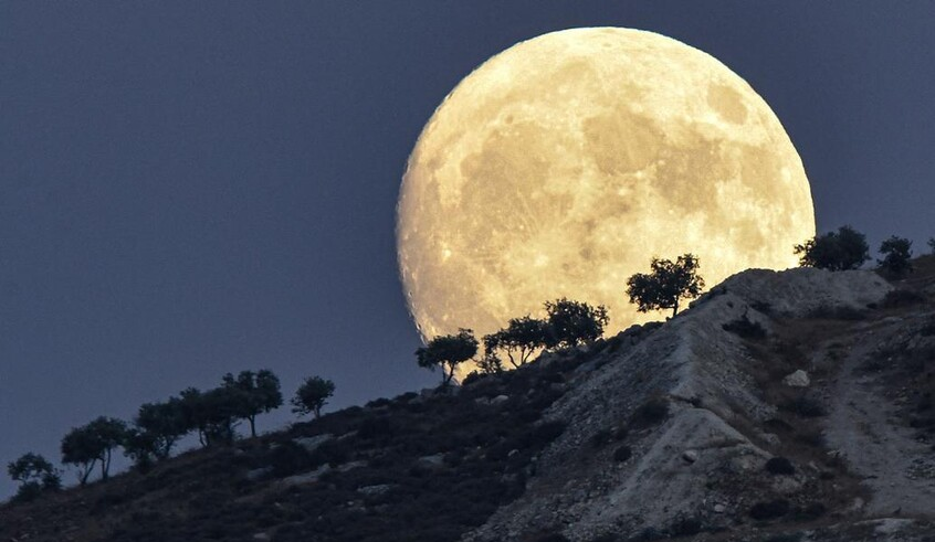 wp header logo17583444431842136734