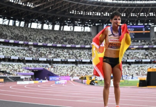 wp header logo17583732661091556470