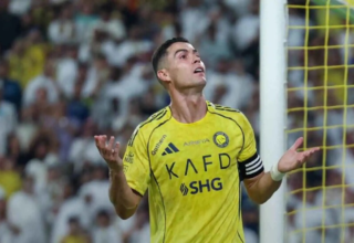 wp header logo17584452191150943918