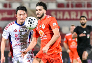 wp header logo17585028391270453975