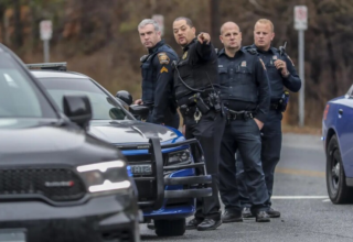 wp header logo1758564028431150450