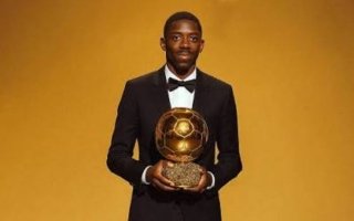 wp header logo17585748061204755574