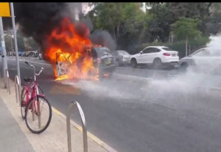 wp header logo17588088941553627257