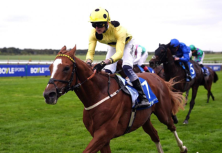 wp header logo17589132941416494056