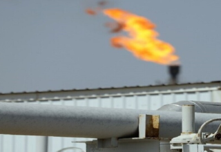 wp header logo17589852181127132850