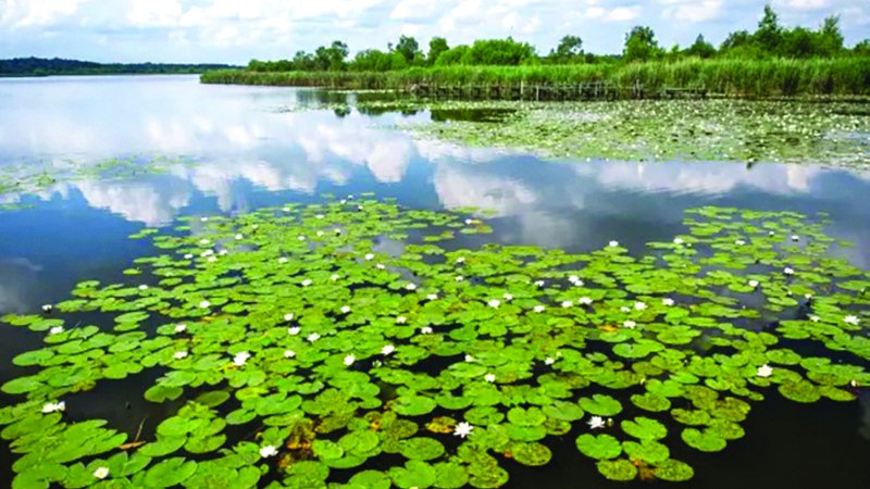 wp header logo1759021242970145320