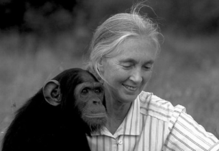 wp header logo17593704071306548759