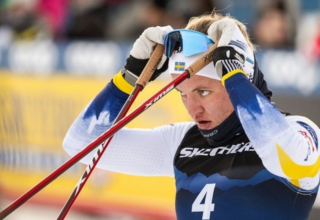 wp header logo1759395606203619256