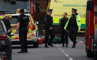 wp header logo17594208121329175289