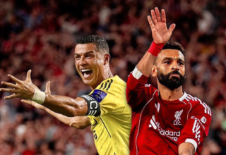 wp header logo17594820962099561581