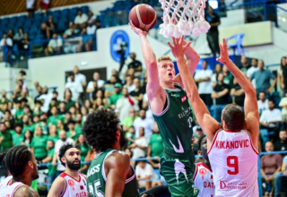 wp header logo1759690854824513137