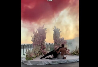 wp header logo1759752012769522298