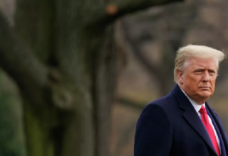 wp header logo17598564651950020176