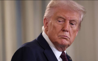 wp header logo17599788341151066183