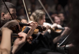 wp header logo1760590847488945611